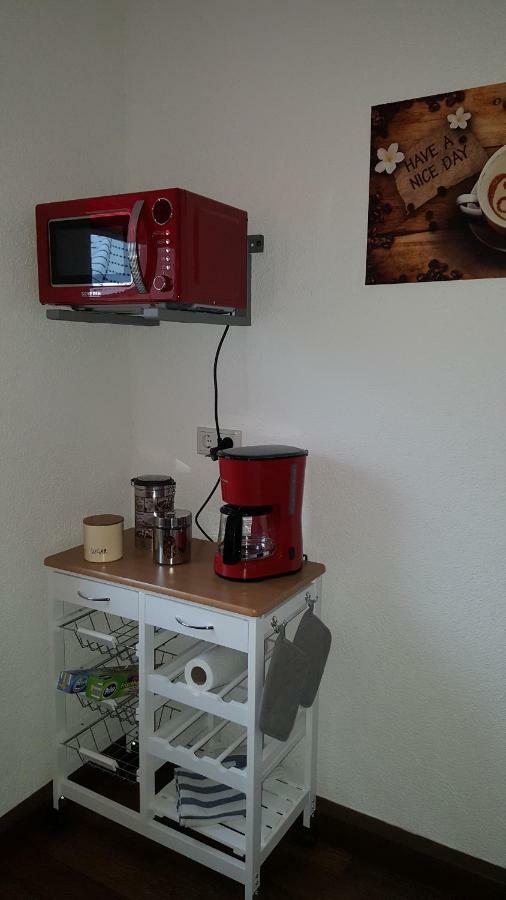 Ferienwohnung Oder Studio Dresden-Neustadt Inkl Parkplatz Mit Balkon Oder Terrasse Zewnętrze zdjęcie